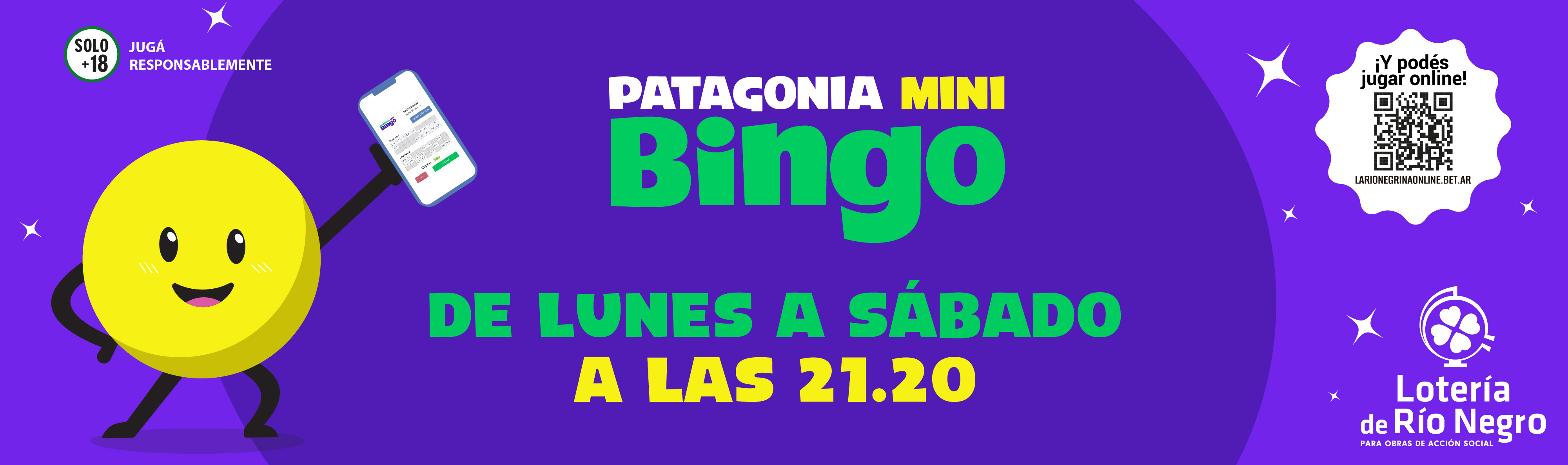mini bingo genrico sin precio